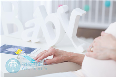 在河北唐山借卵试管婴儿周期中，多余的胚胎会如何处理？