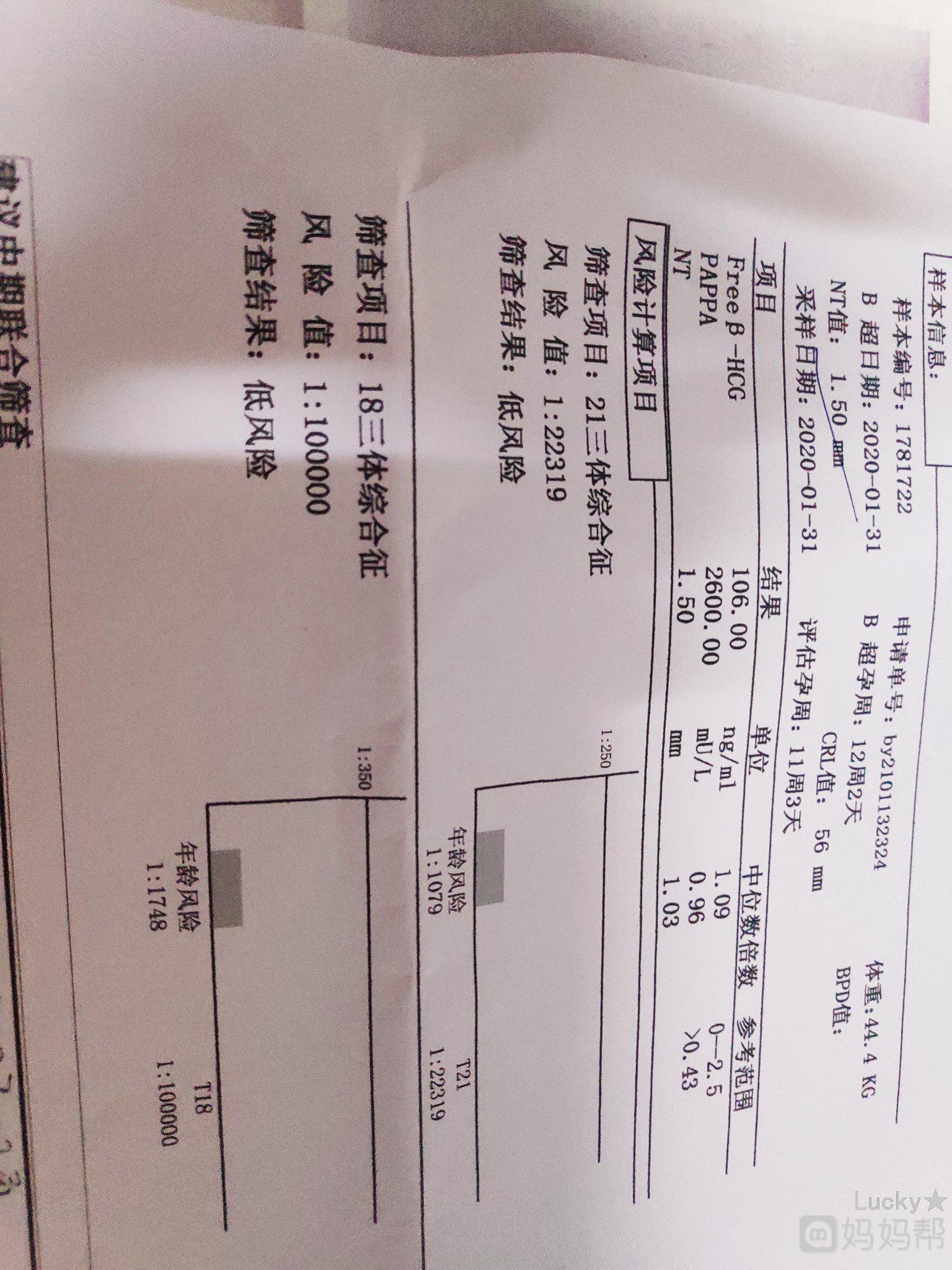 是什么让你想放弃供卵试管婴儿？