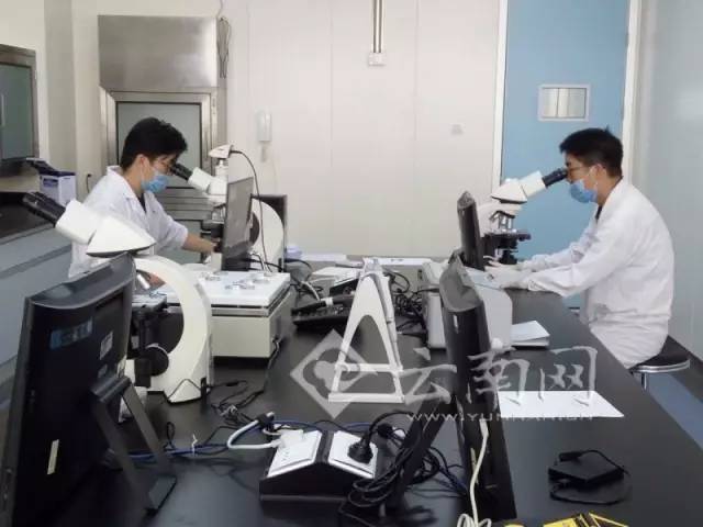 河北唐山赠卵试管婴儿对患者有害吗？