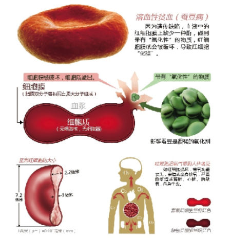 40岁的人做借卵代生三代试管成功，基础卵泡为个位数