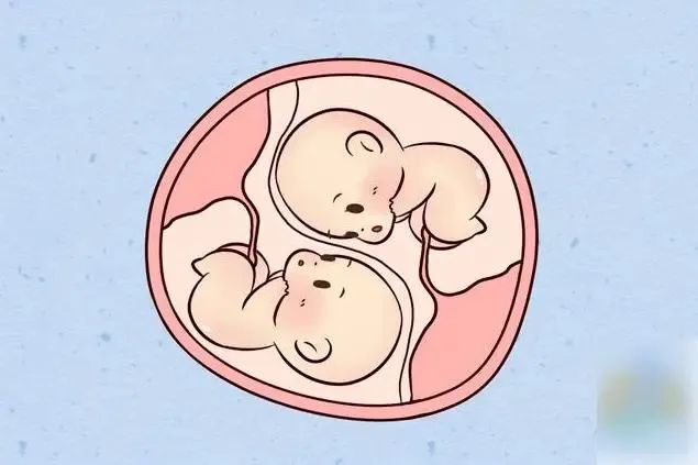 夫妻离婚了，做供卵代生机构的抚养费该由谁来承担？