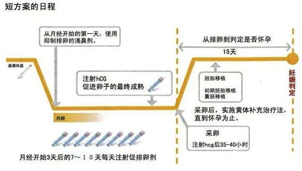 广州能借卵做助孕代生机构的私立医院