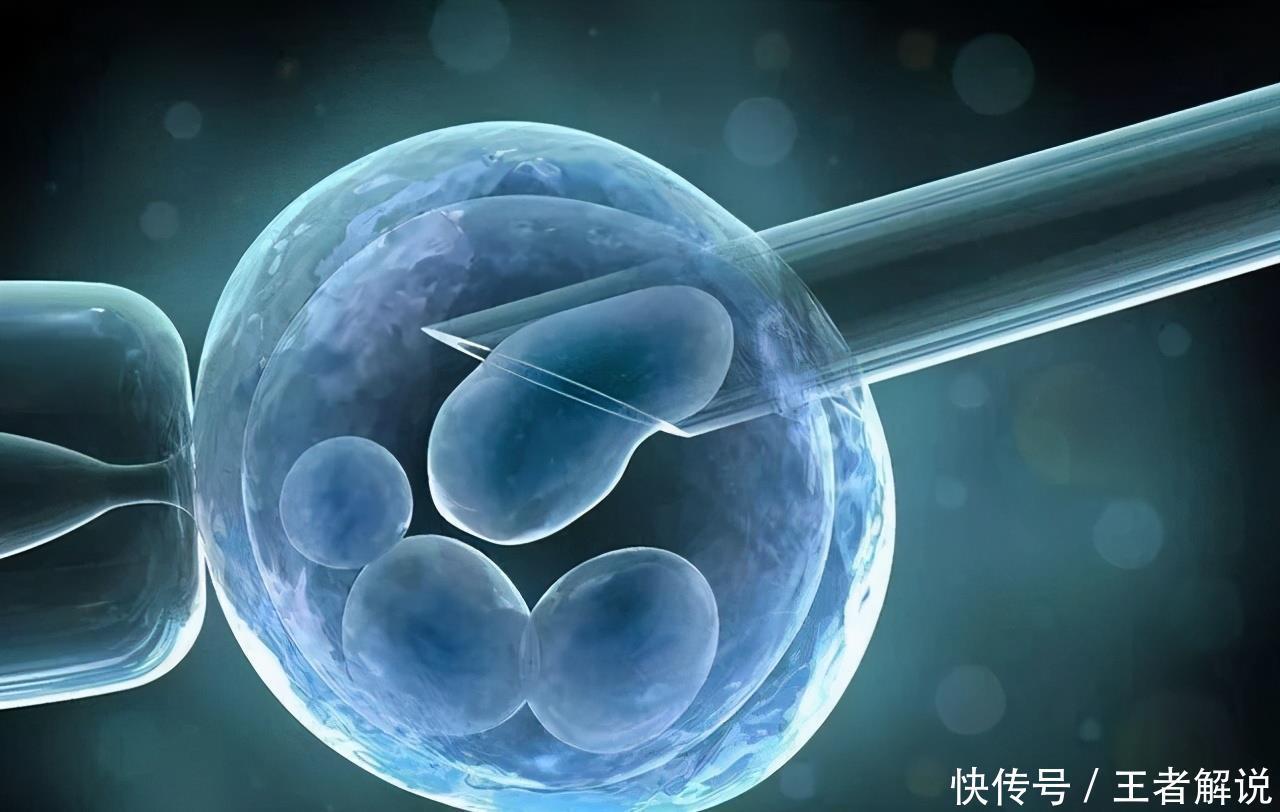 河北妇幼做赠卵试管成功率最高的试管婴儿医生是谁