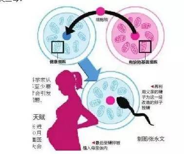 试管婴儿石家庄附一好还是附二好