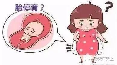试管婴儿前期检查项目