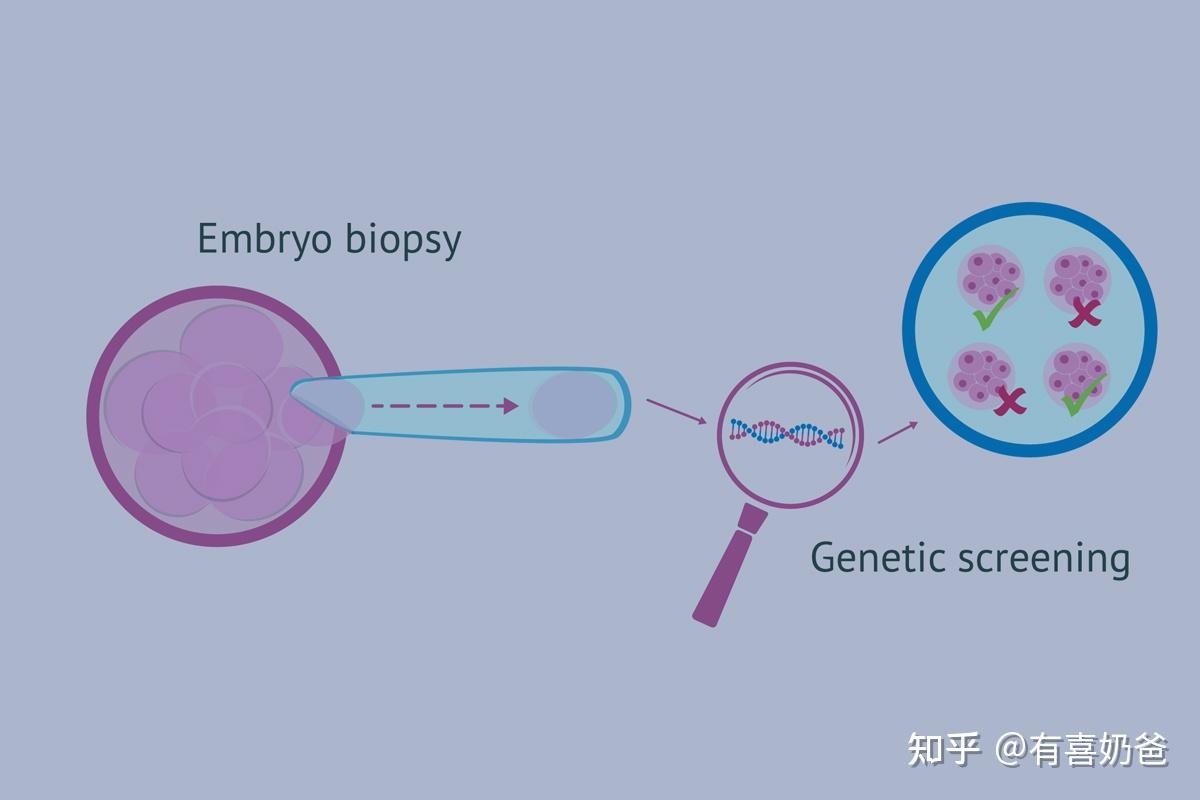 试管移植前雌二醇标准是多少