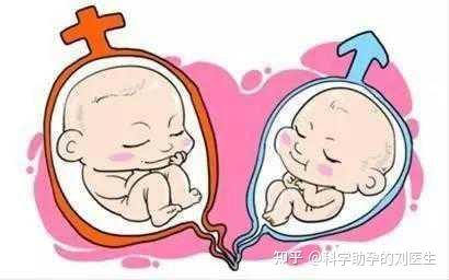 冻胚移植后吃菠萝蜜不会影响内膜,但有六大禁忌需注意