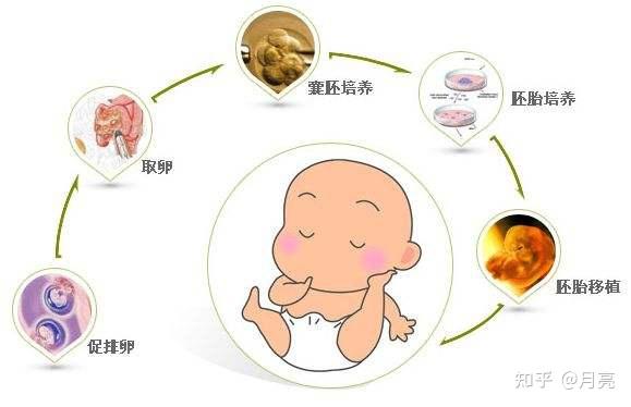 精子库的精子从哪里来+库的来源是哪里