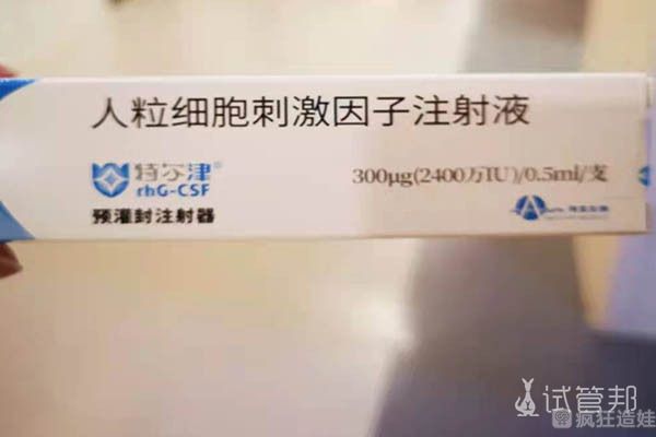 试管代怀母多费用出现胚胎停育后会有什么症状