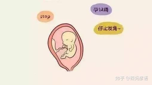 石家庄私立供卵机构有哪些（借卵生子3家公立医院可选择）