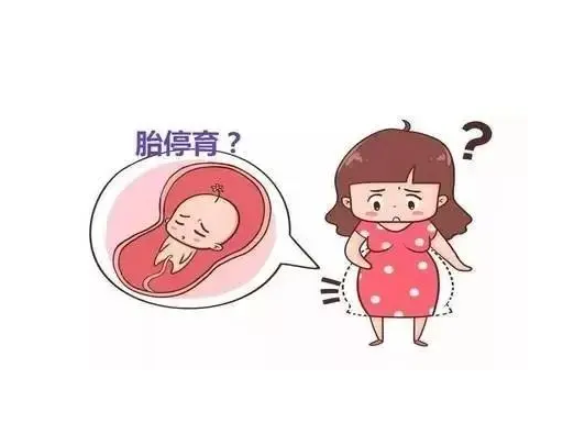 浅谈高龄试管代怀收费多少孕妇问题,试管家庭值得了解