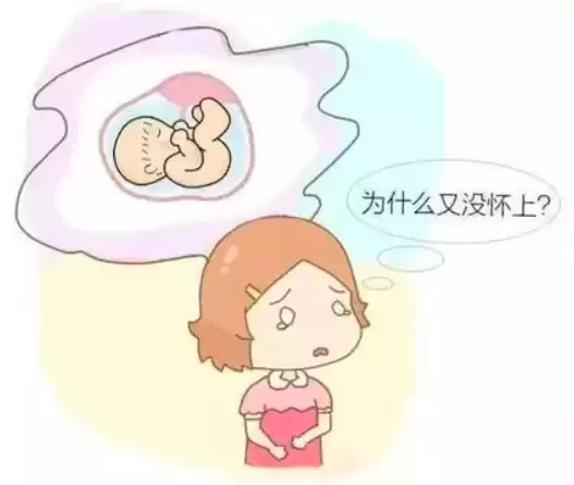 河北石家庄高端试管代怀网从准备到怀孕需要多长时间