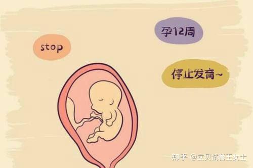 试管代怀需要什么证件促排卵针什么时候打比较合适