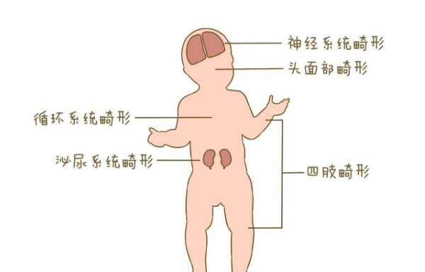 河北石家庄试管生儿子最好的医院需要多少钱呢