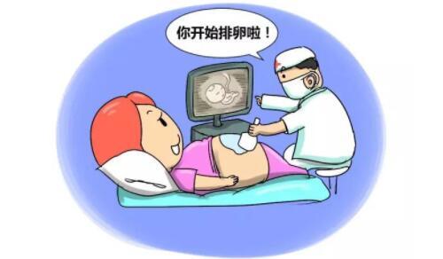 石家庄有没有试管直接做男孩包试管生子公司电话医院（代生供卵平台卵巢过激了该怎么办