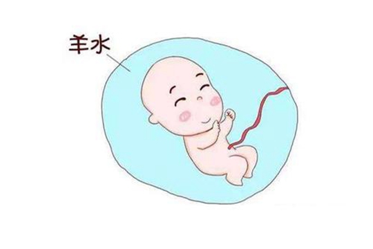 2024石家庄省立医院代怀助孕公司婴儿可以选择生男生女吗（附河北三代医院排名）